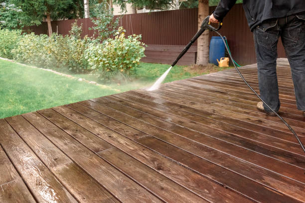 Best Fence Cleaning  in Punta Rassa, FL